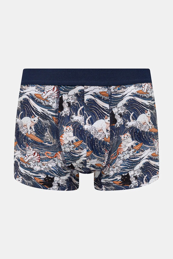 Boxerky z Mačacej kolekcie (2-pack) viacfarebná RS26-BIM350