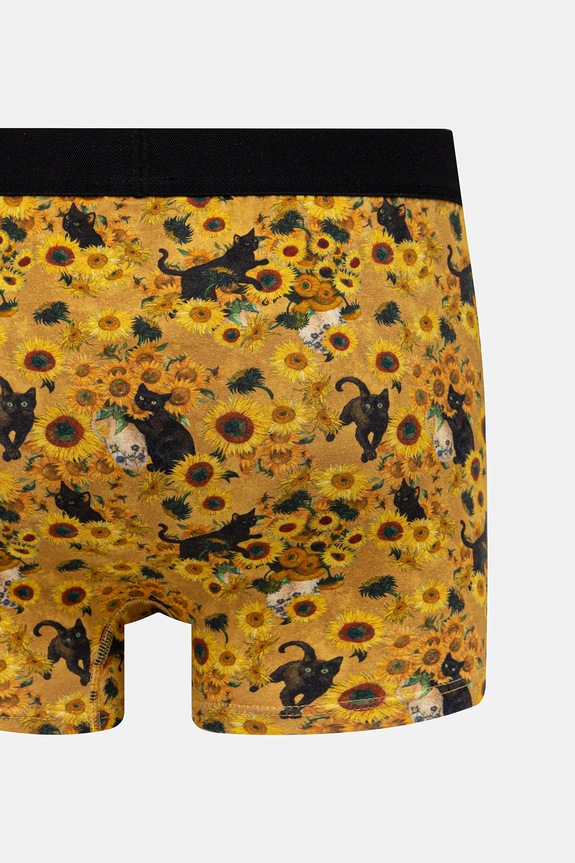 Boxerky z Mačacej kolekcie (2-pack) RS26-BIM350 viacfarebná