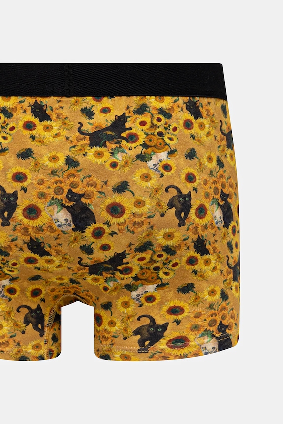 Boxerky z Mačacej kolekcie (2-pack) RS26-BIM350 viacfarebná
