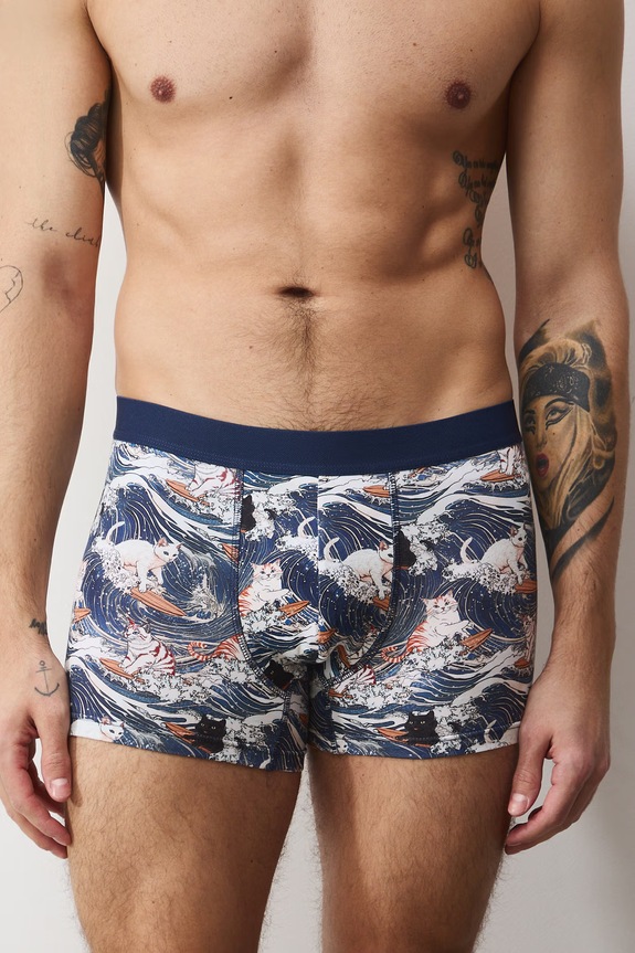 Boxerky z Mačacej kolekcie (2-pack) RS26-BIM350