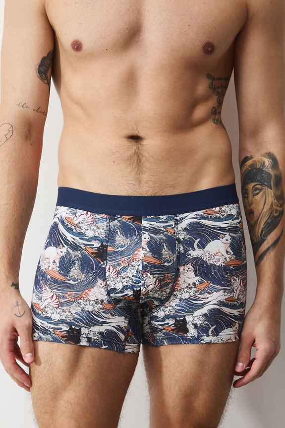Bavlnené boxerky z Mačacej kolekcie (2-pack) RS26-BIM352