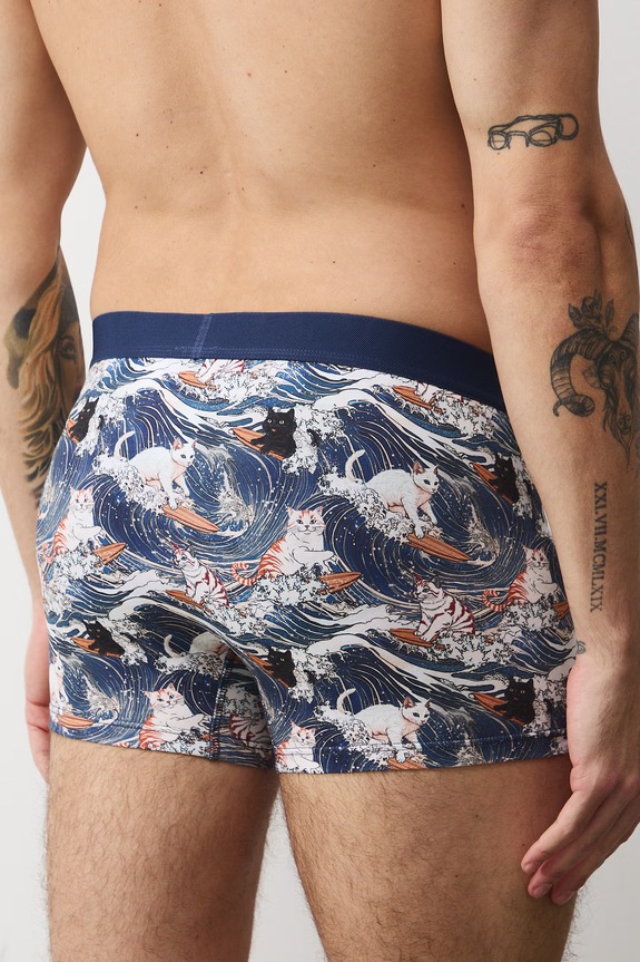 Bavlnené boxerky z Mačacej kolekcie (2-pack) RS26-BIM352