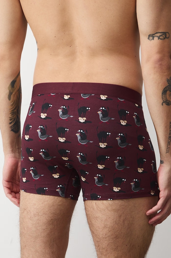 Medicine boxeri pentru bărbați, din bumbac cu elastan pachet de 2 RS26-BIM500