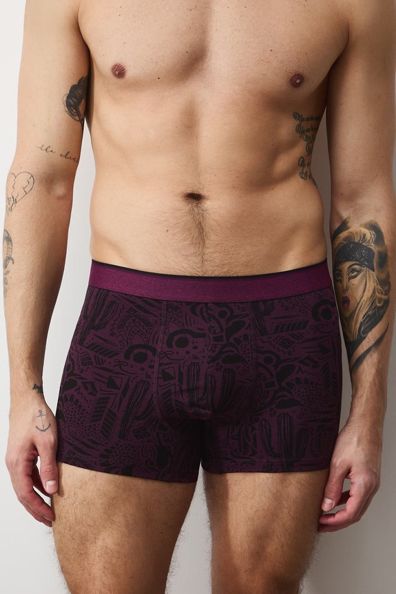 Boxerky pánske bavlnené s elastanom 2-balenie RS26-BIM508