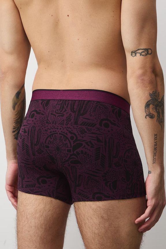 Boxerky pánske bavlnené s elastanom 2-balenie RS26-BIM508