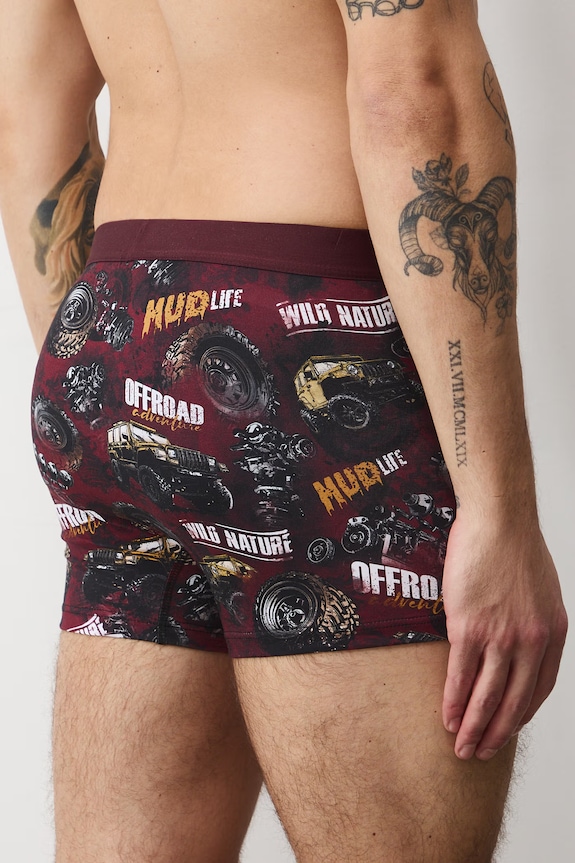 Boxerky pánske bavlnené s elastanom 2-pack RS26-BIM509