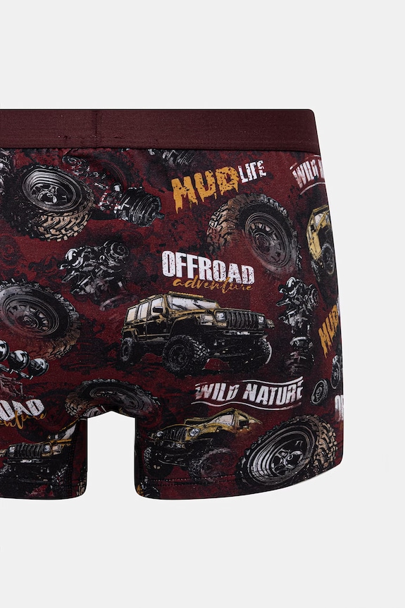 Boxerky pánske bavlnené s elastanom 2-pack RS26-BIM511 viacfarebná