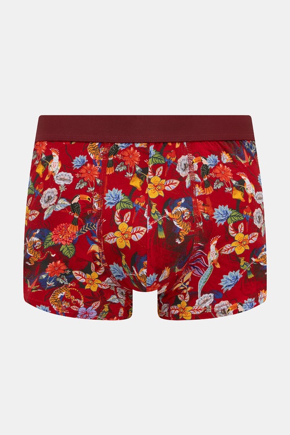 Odzież Bokserki męskie bawełniane z elastanem 2-pack RS26-BIM700 multicolor