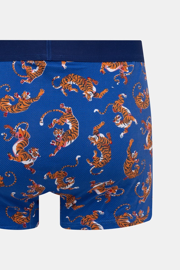 Bokserki męskie bawełniane z elastanem 2-pack multicolor RS26-BIM700