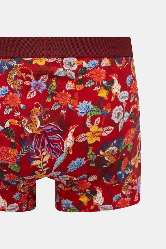 Bokserki męskie bawełniane z elastanem 2-pack RS26-BIM700 multicolor