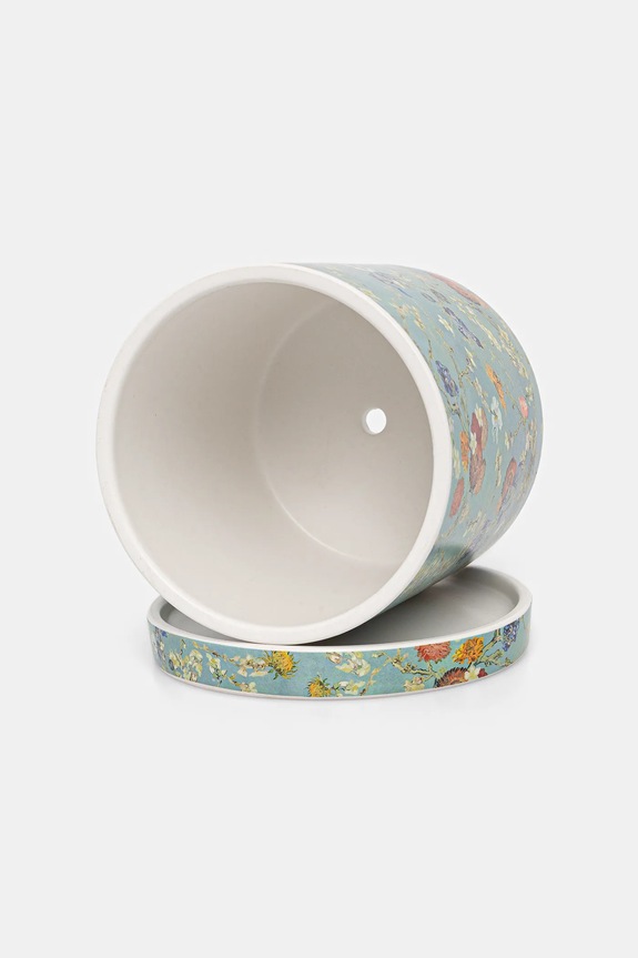 Σαλόνι και υπνοδωμάτιο Γλάστρα Medicine RS26-DEU251 μπλε