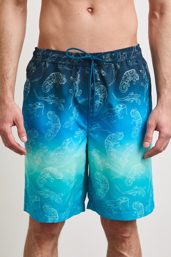 Szorty kąpielowe męskie z motywem zwierzęcym RS26-ESM900 multicolor RS26