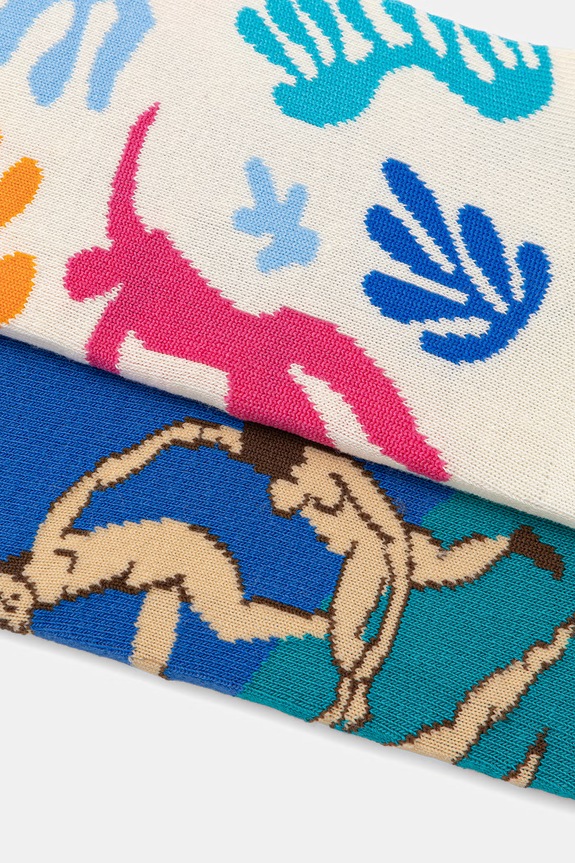 Skarpetki bawełniane damskie z kolekcji Eviva L'arte (2-pack) RS26-LGD250 multicolor RS26