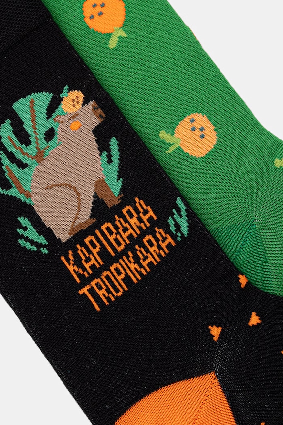 Skarpety męskie z motywem zwierzęcym 2-pack RS26-LGM712 multicolor RS26
