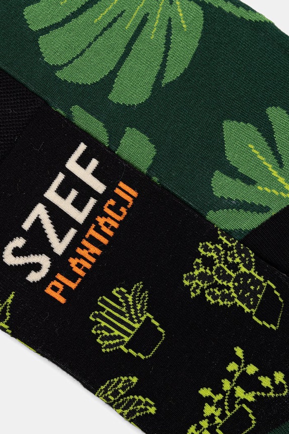 Skarpety męskie roślinne 2-pack RS26-LGM718 multicolor RS26