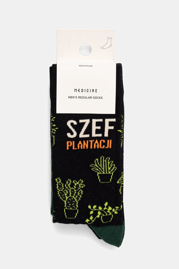 Odzież Skarpety męskie roślinne 2-pack RS26-LGM718 multicolor