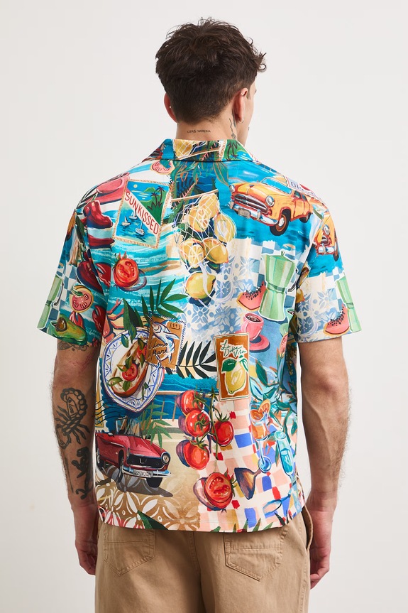 Odzież Polo męskie bawełniane z elastanem RS26-POMA11 multicolor