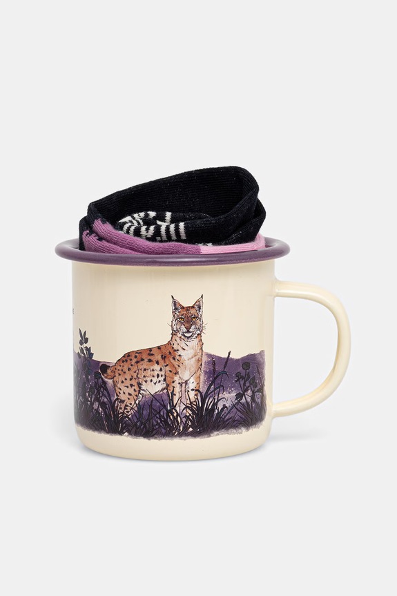 Zestaw prezentowy: kubek i skarpetki z kolekcji Bieszczadzki Park Narodowy x Medicine RS26-SEU853 multicolor RS26