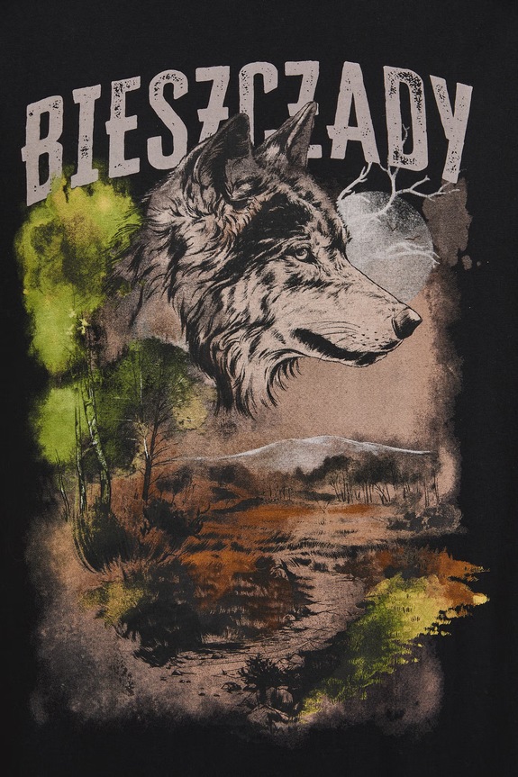 T-shirt męski bawełniany z kolekcji Bieszczadzki Park Narodowy x Medicine RS26-TSM853