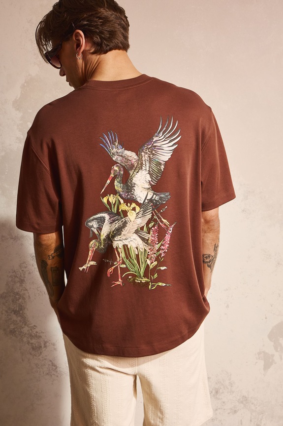 T-shirt męski bawełniany z kolekcji Bieszczadzki Park Narodowy x Medicine brązowy RS26-TSM857