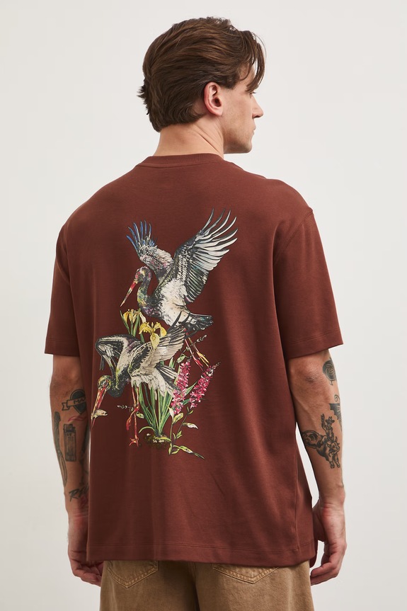 Odzież T-shirt męski bawełniany z kolekcji Bieszczadzki Park Narodowy x Medicine RS26-TSM857 brązowy