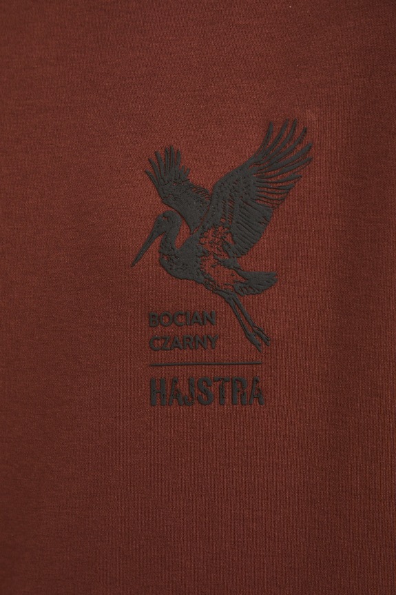 T-shirt męski bawełniany z kolekcji Bieszczadzki Park Narodowy x Medicine RS26-TSM857 brązowy