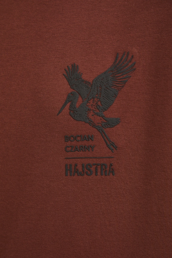 T-shirt męski bawełniany z kolekcji Bieszczadzki Park Narodowy x Medicine RS26-TSM857 brązowy
