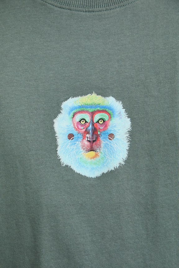 Medicine T-shirt męski bawełniany RS26-TSMA51 zielony