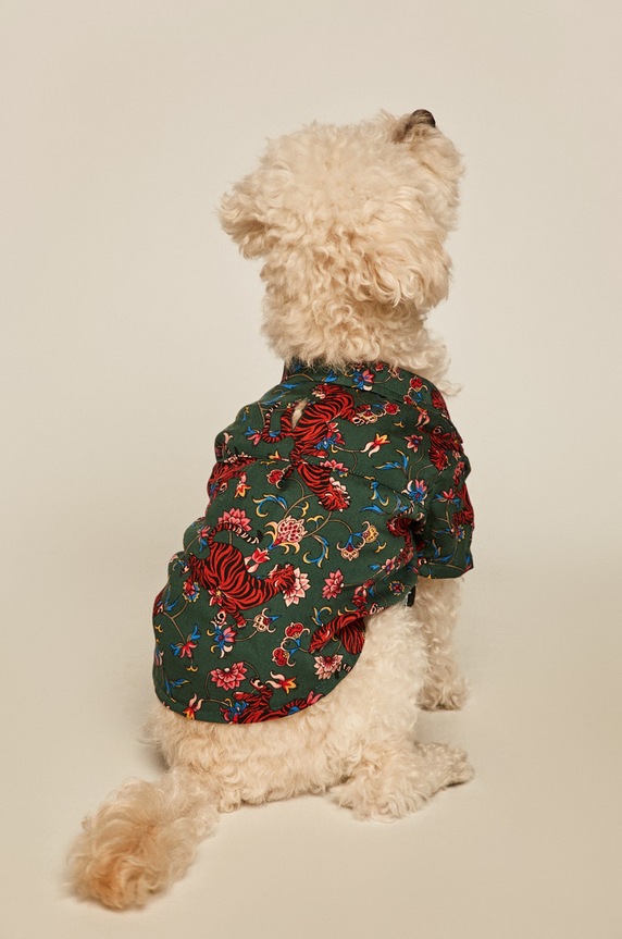 Koszula dla pupila wzorzysta RW19.KDU971 turkusowy RW19