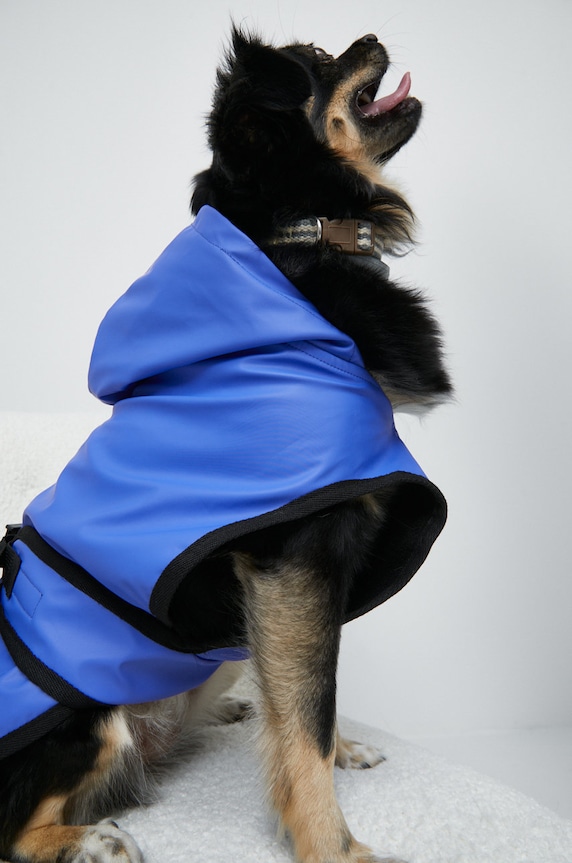 Bunda pre zvieratko z hladkého materiálu fialová RW22.KUU501