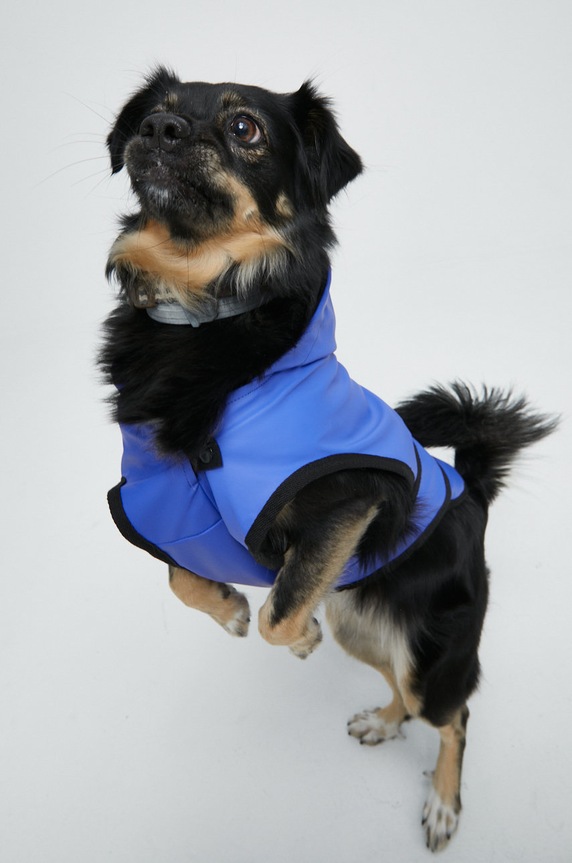 Bunda pre zvieratko z hladkého materiálu RW22.KUU501 fialová