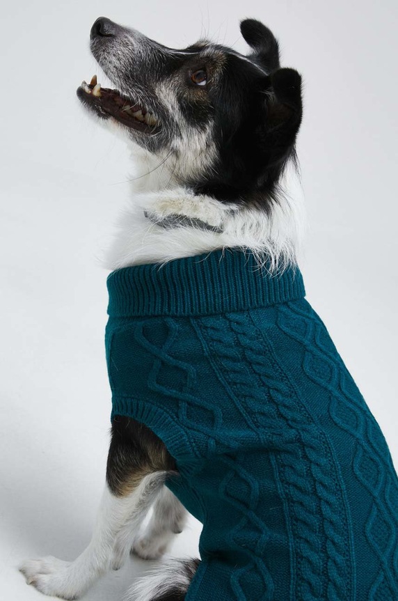 Sweter dla pupila z fakturą kolor zielony turkusowy RW22.SWU0A0