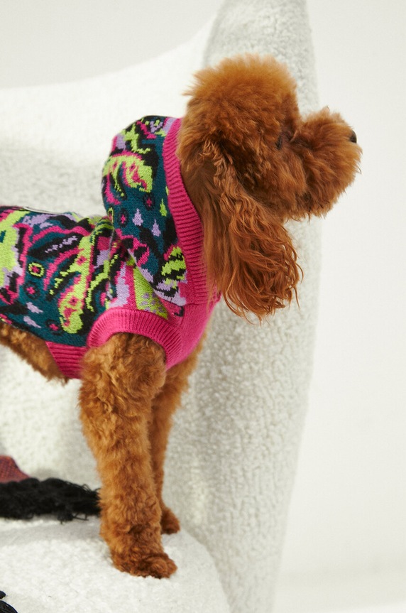 Medicine sweter dla pupila RW23-SWU901 multicolor RW23