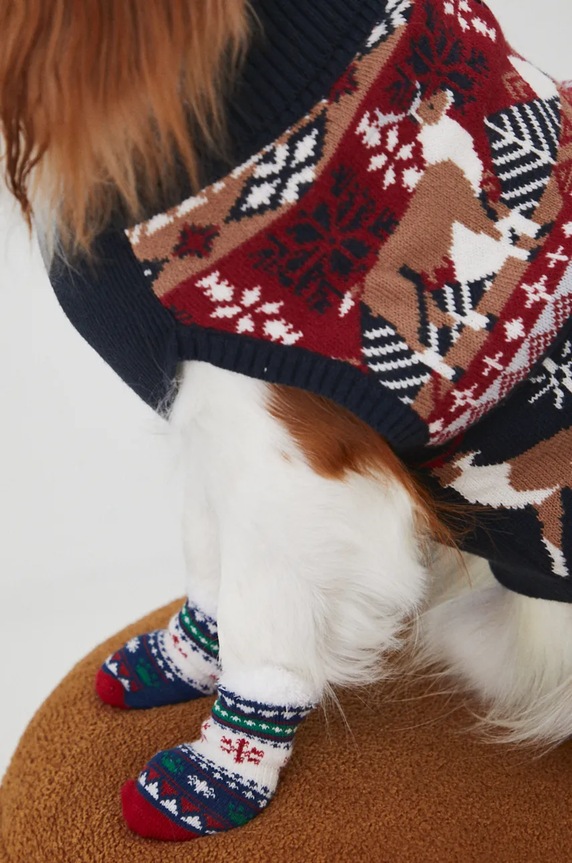 Skarpetki dla pupila świąteczne kolor multicolor RW24-ANU900