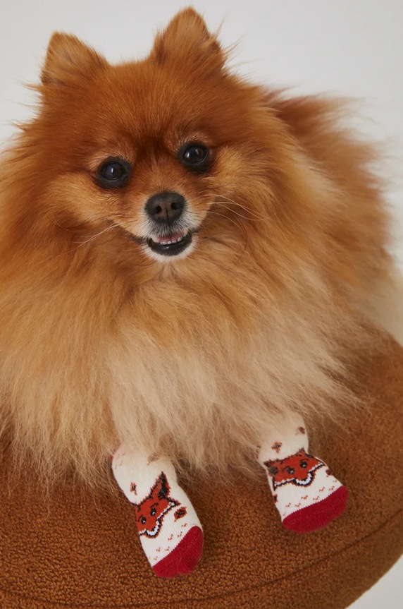 Ponožky pro mazlíčka se vzorem více barev vícebarevná RW24-ANU901