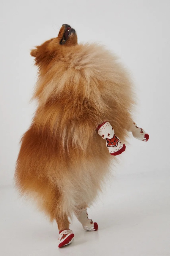 Ponožky pro mazlíčka se vzorem více barev vícebarevná RW24-ANU901