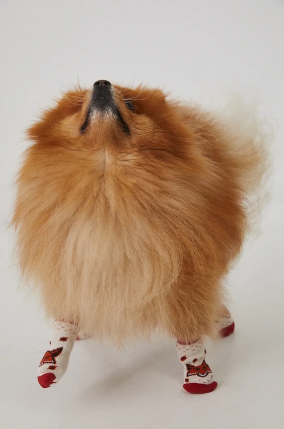 Ponožky pro mazlíčka se vzorem více barev RW24-ANU901 vícebarevná