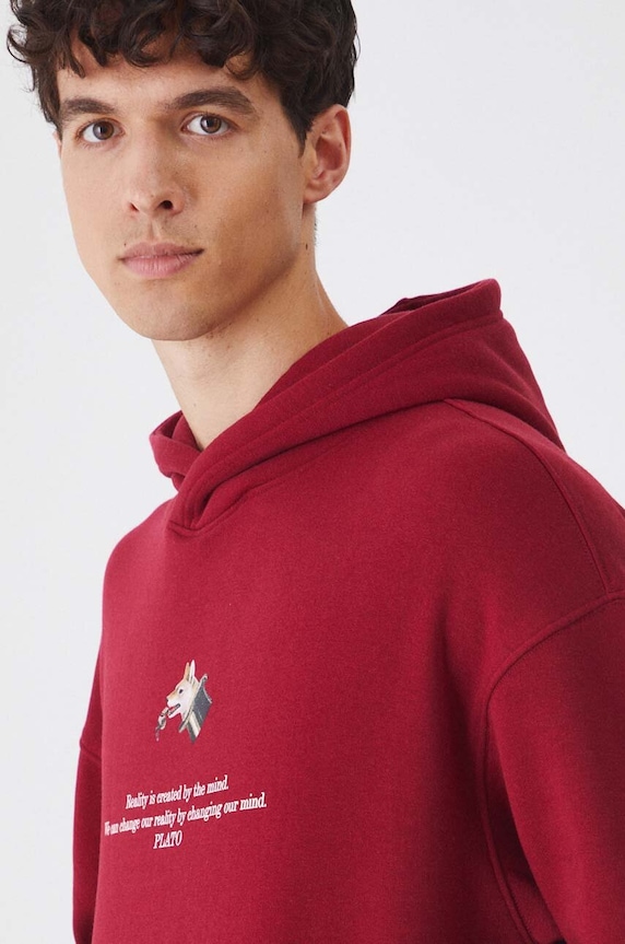 Bluza męska z kapturem z nadrukiem kolor bordowy bordowy RW24-BLM403