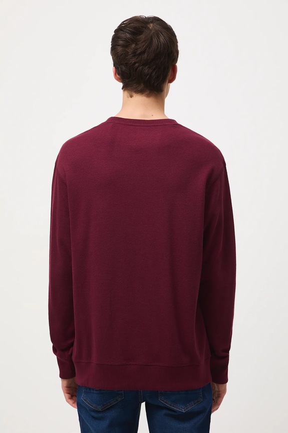Longsleeve męski z fakturą kolor bordowy bordowy RW24-BUM051