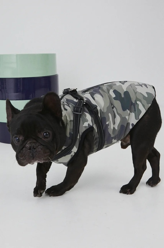 Jakna za kužka Medicine zelena RW24-KUU803