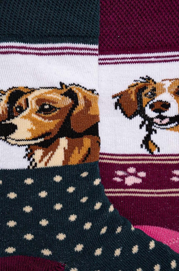 Odzież Skarpetki (2-pack) bawełniane damskie wzorzyste w psy kolor multicolor RW24.LGD401 multicolor