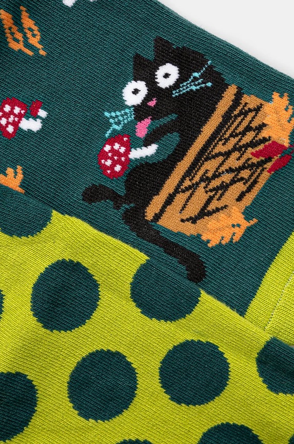 Bavlnené ponožky s jesenným motívom (2-pack) viac farieb RW24.LGD505 viacfarebná RW24