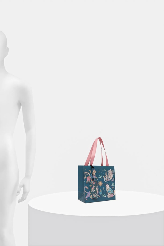 Torebka prezentowa rozmiar S kolor multicolor multicolor RW24-ROUA08