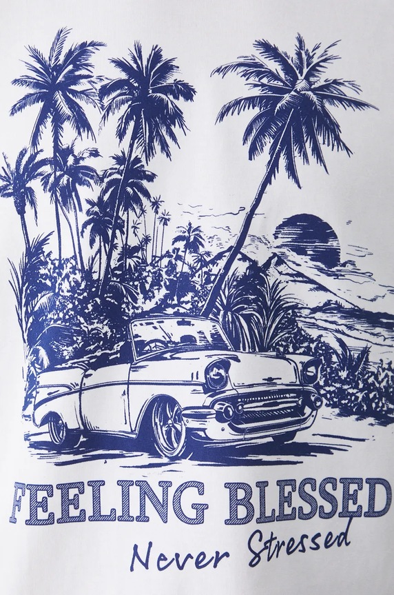 T-shirt bawełniany męski z nadrukiem kolor biały RW24-TSM485 biały