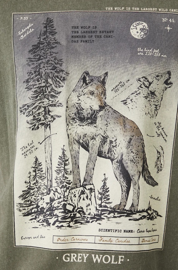 T-shirt bawełniany męski z kolekcji Together For Nature kolor zielony RW24-TSM705