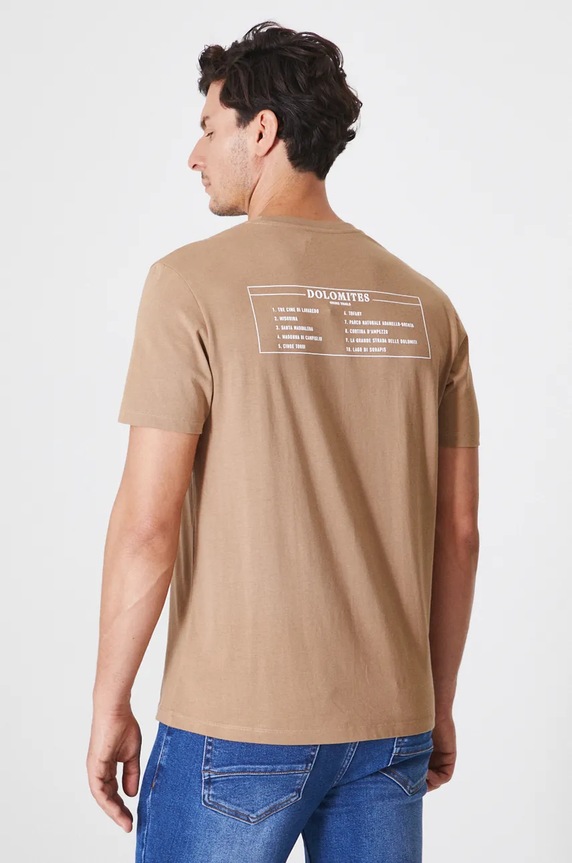 Odzież T-shirt bawełniany męski z nadrukiem kolor brązowy RW24-TSM902 brązowy