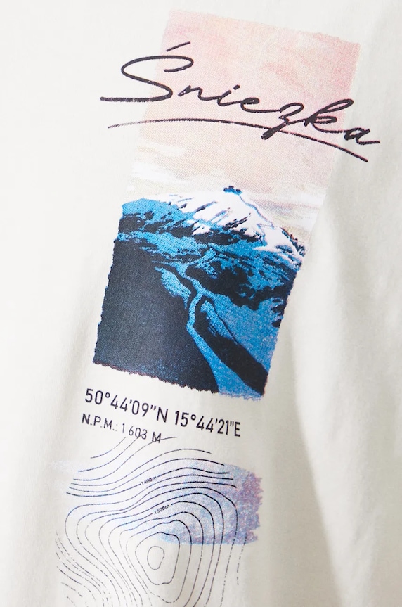 T-shirt bawełniany męski z domieszką elastanu z nadrukiem kolor beżowy RW24-TSM907 beżowy