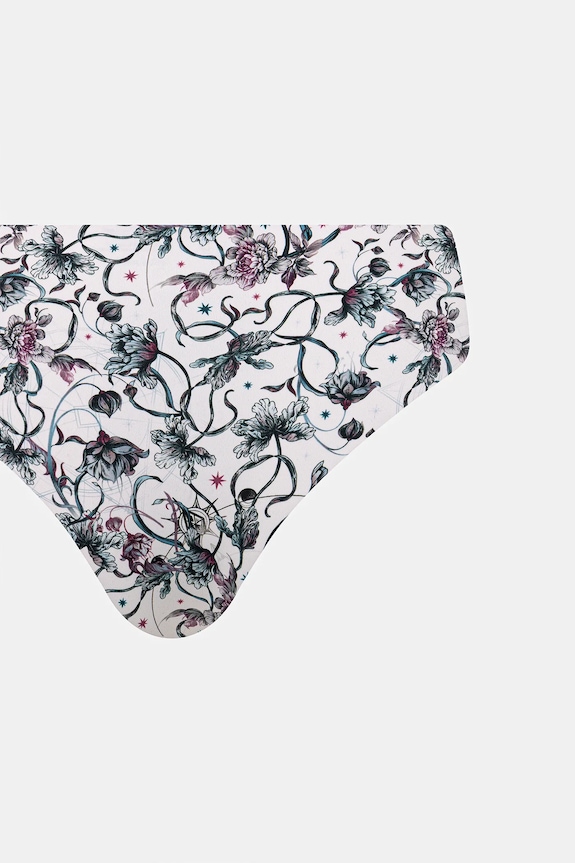 Kalhotky dámské briefs, se vzorem (2-pack) RW25-BID903