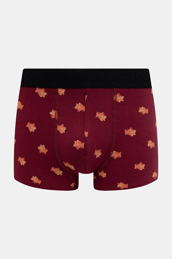 Bokserki bawełniane męskie z elastanem wzorzyste (2-pack) RW25-BIM700 multicolor RW25