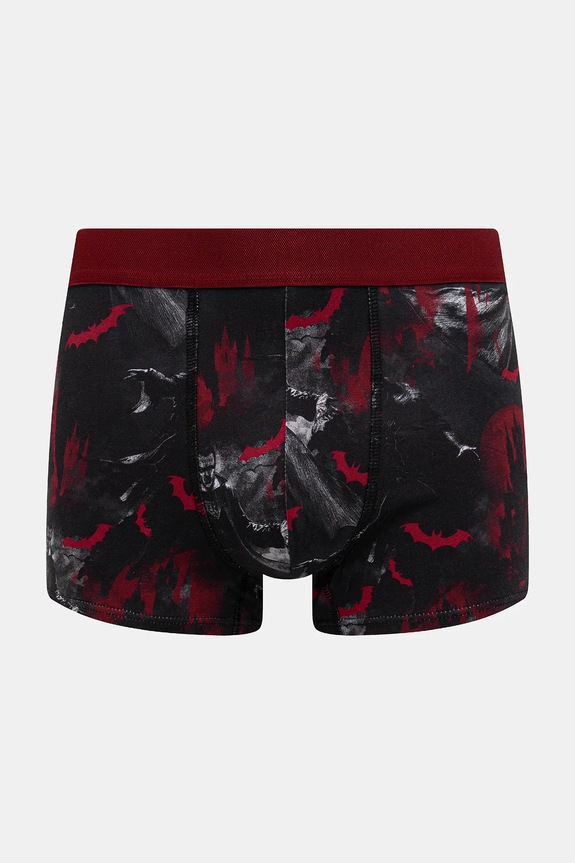 Odzież Bokserki bawełniane męskie z elastanem wzorzyste (2-pack) RW25-BIM701 multicolor